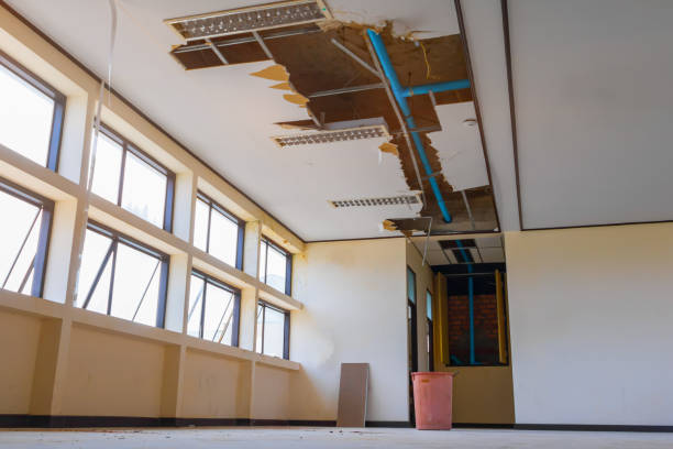 Best Water damage restoration services  in Malad City, ID