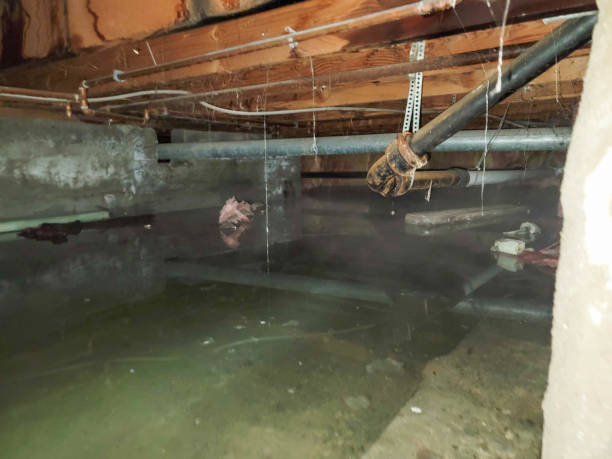 Water damage restoration process in ID
