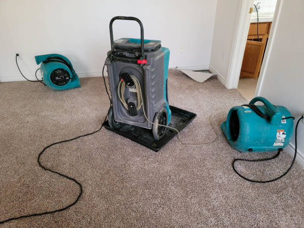 Best Flood damage cleanup  in Malad City, ID