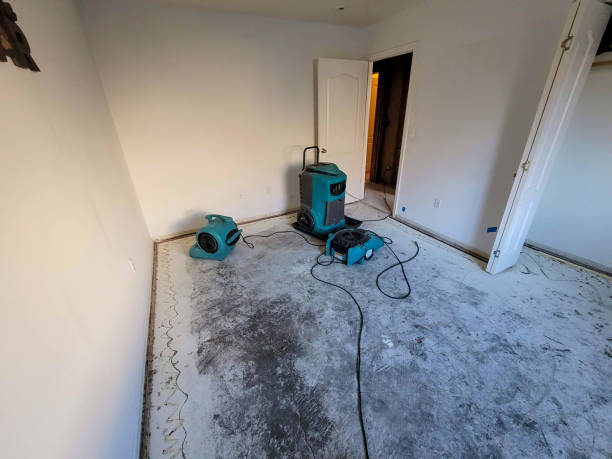 Best Basement water damage restoration  in Malad City, ID