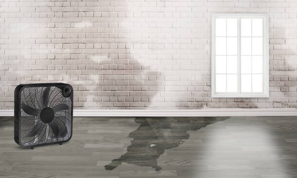 Best Flood restoration services  in Malad City, ID