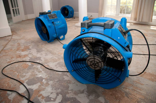 Best Residential water damage restoration  in Malad City, ID