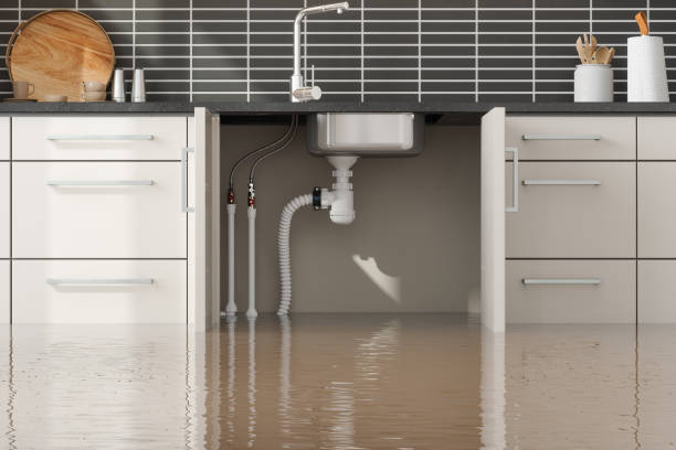 Best Mold removal after water damage  in Malad City, ID