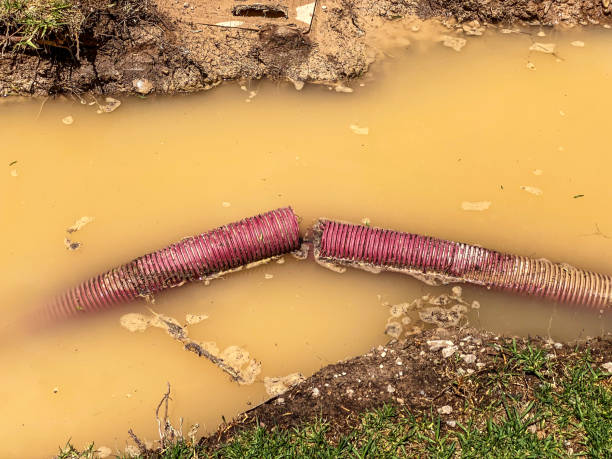Best Water damage restoration near me  in Malad City, ID