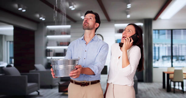 Best Fire Damage Restoration  in Malad City, ID
